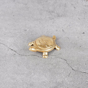 Brass Kachua Pair - Feng Shui Turtle Set of 2 - Close-up shot highlighting material