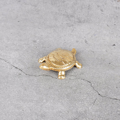 Brass Kachua Pair - Feng Shui Turtle Set of 2 - Close-up shot highlighting material