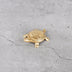 Artisanal Brass Turtle Pair (Kachua) Lifestyle - Non-Toxic Lead-Free Brass Heirloom for Modern Homes