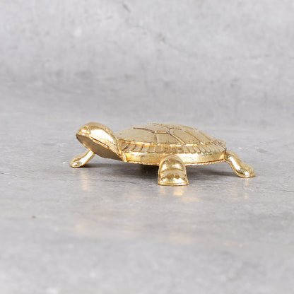Brass Kachua Pair - Feng Shui Turtle Set of 2 - Lifestyle or in-use shot showing context and product scale.